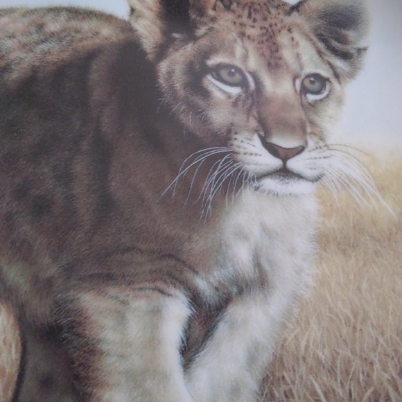 Small Wonders of the Wild Plate - Picture 4 of 7